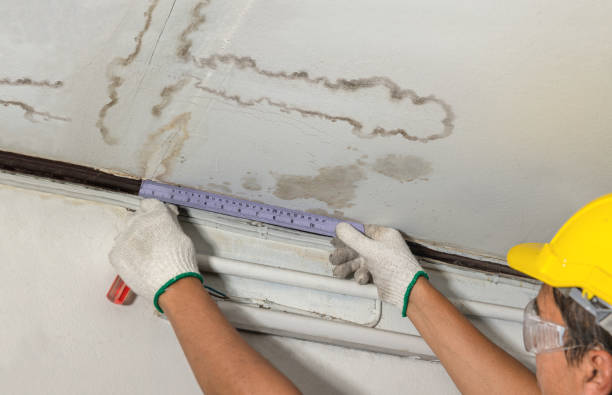 Reliable Sewage Cleanup contractor in Jacksonville, NC by Water Damage Irwin